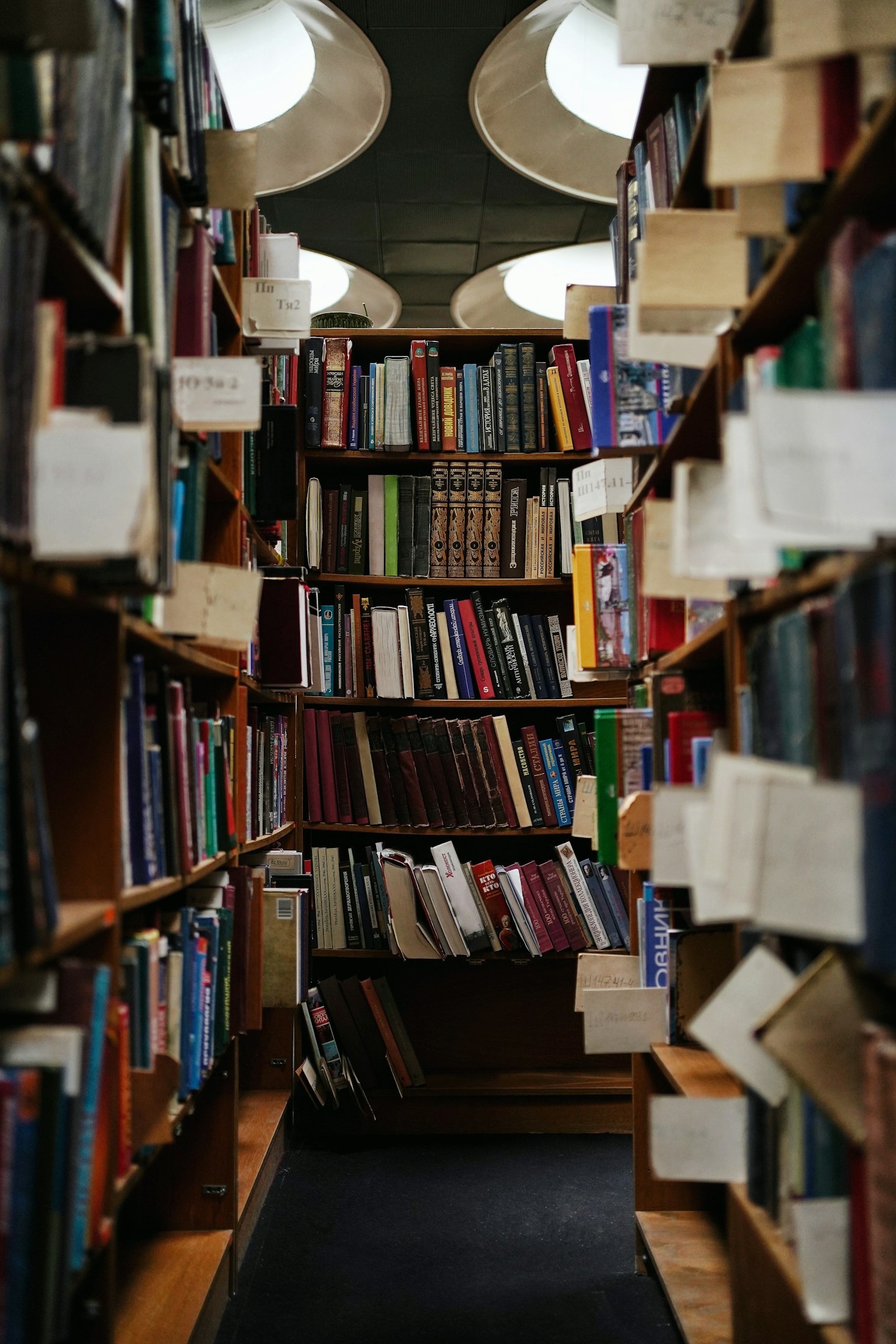 How to Stay Motivated in Focused Education