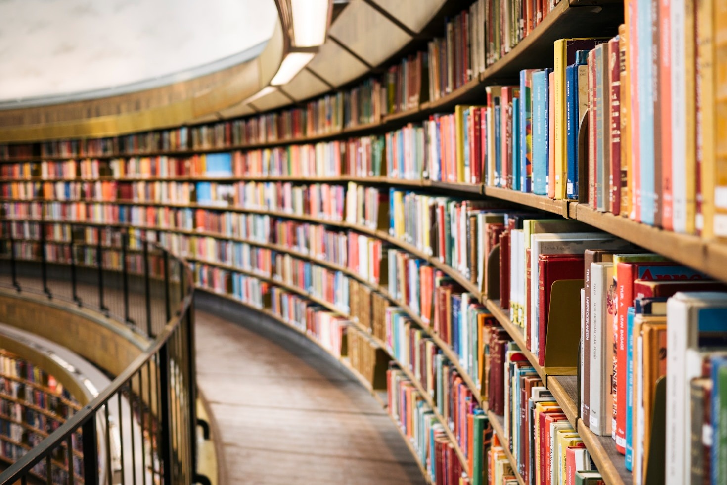 Exploring the Depths of Specialized Knowledge